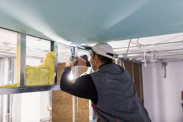Best Residential Insulation in Inglenook, CT