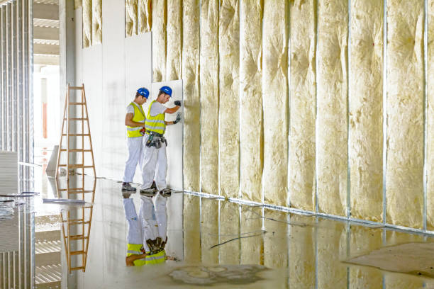 Best Blown-in Insulation in Inglenook, CT